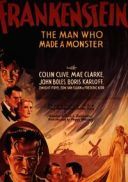 Frankenstein (1931) [720p] [BDRip] [XviD] [AC3-ELiTE] [Lektor PL]
