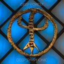 Deep Forest - Deep Symphonic (Symphonic Version) (2020) [Flac]