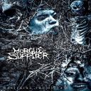 MORGUE SUPPLIER Mastering The Disease 2026 Self-Released DD FLAC (tracks), lossless