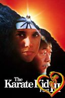 3 The Karate Kid Part III 1989 [10Bit DV-HDR] [2160p.BluRay.H265.EAC3.5.1-AS76-FT] [ENG-Lektor PL] [Alusia]