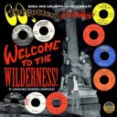 60s Forgotten Things Vol 1-2 (Vinyl, LP, Compilation) (2025)