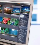 Adobe Bridge 2026 v16.0.4 Build 40 - 64bit [PL] [RePack] [azjatycki]