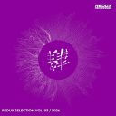 VA - Redux Selection, Vol. 3 2026 [mp3@ 320kbps] [WOOKIE]