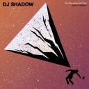 DJ Shadow - The Mountain Will Fall (10th Anniversary Deluxe Edition) 2026 [mp3@320kbps] [WOOKIE]