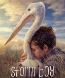 Chlopiec z burzy - Storm boy (2019) [1080p] [WEBRip x264] [ dubbing PL]